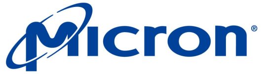 blue Micron color logo