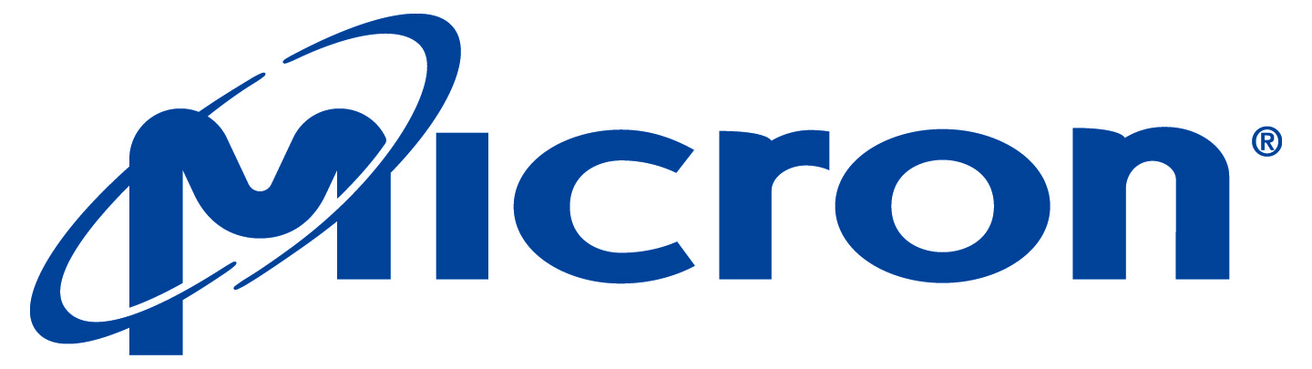 blue Micron color logo